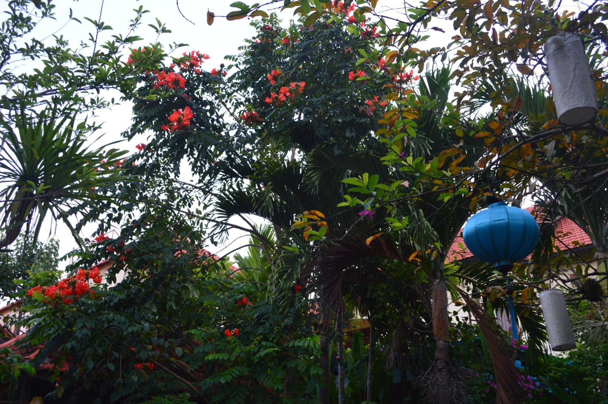 Villa Orchid Garden Riverside Hoi An Eksteriør bilde
